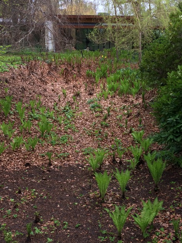 View from Louisiana Gardens