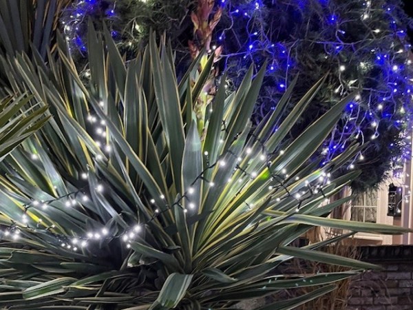 Rhakotis Gift Guide&nbsp;2025